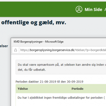 Problemer på borger.dk